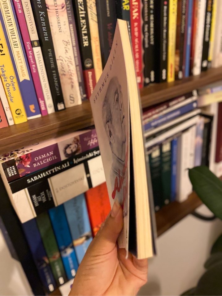 Ahmed Arif - Abisi Olmak Hakkı Üzerine - Görsel 4