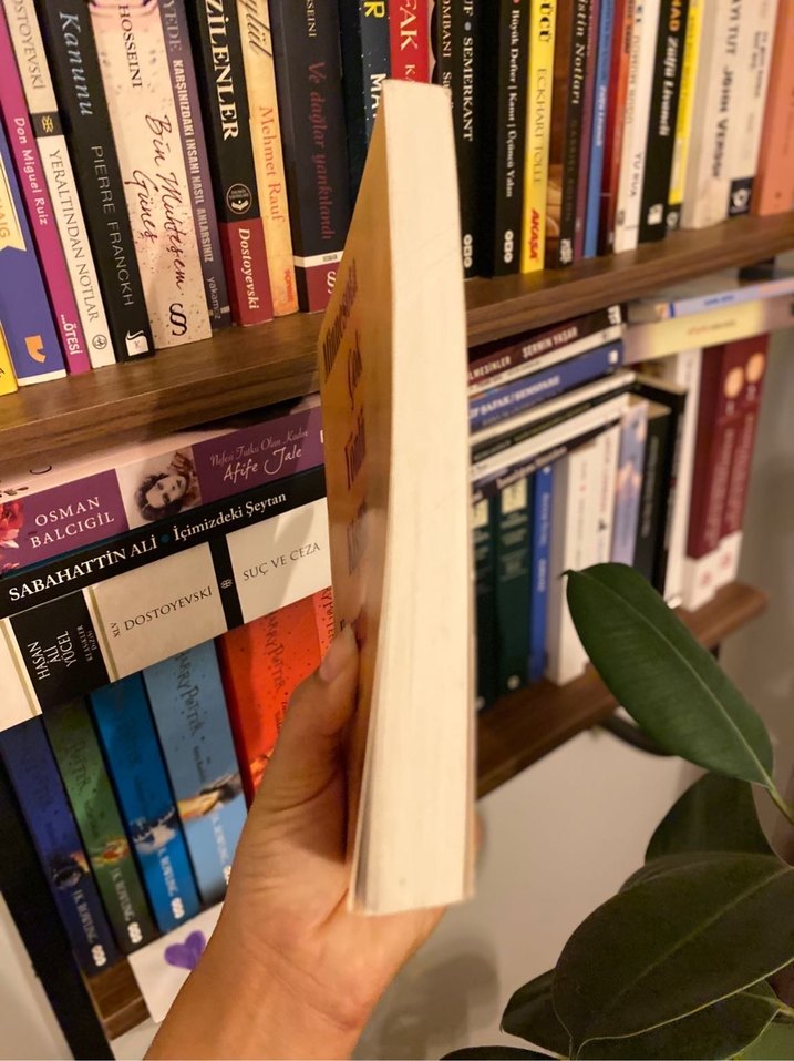 Minnesota Çok Yönlü Kişilik Envanteri Kitabı - Görsel 4