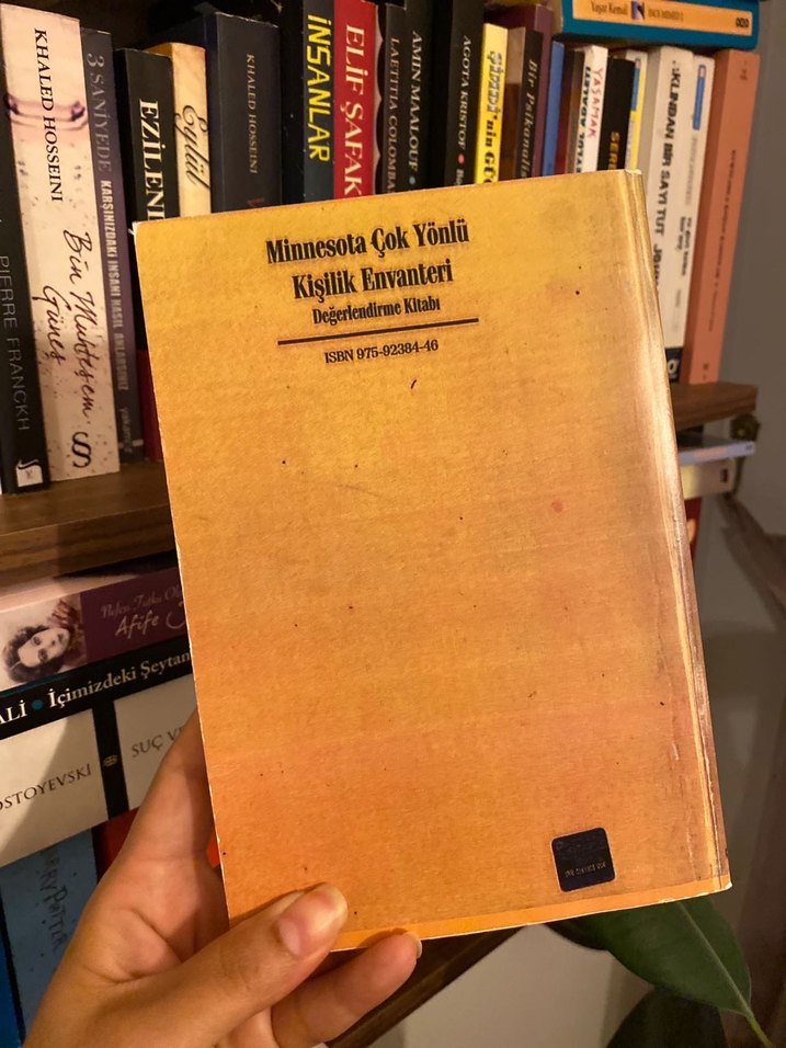 Minnesota Çok Yönlü Kişilik Envanteri Kitabı - Görsel 2