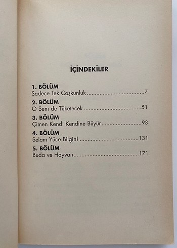 Osho - Mükemmel Mürit Romanı - Görsel 6