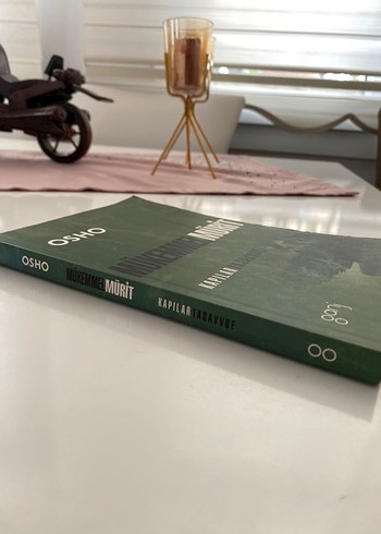 Osho - Mükemmel Mürit Romanı - Görsel 4