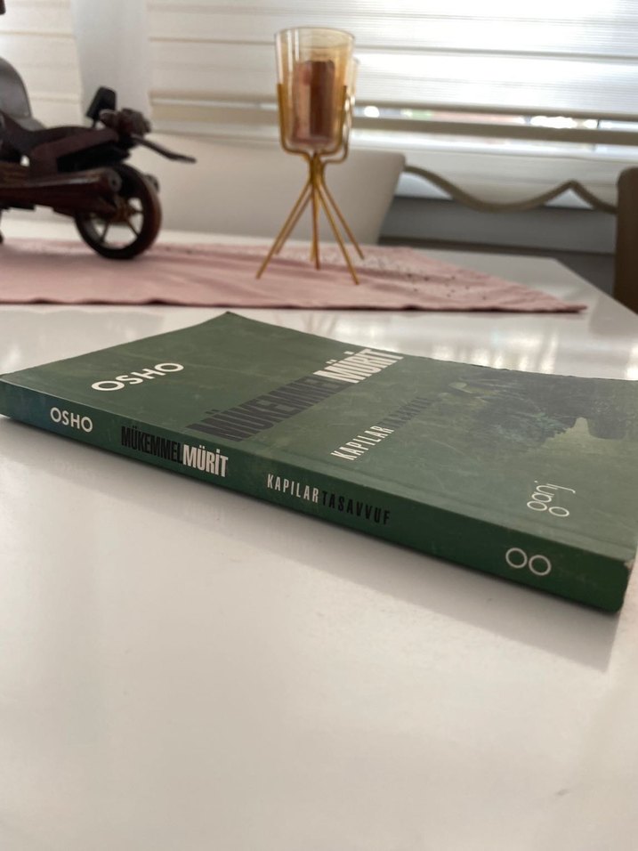 Osho - Mükemmel Mürit Romanı - Görsel 4