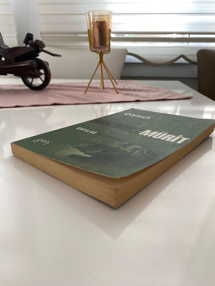 Osho - Mükemmel Mürit Romanı - Görsel 3