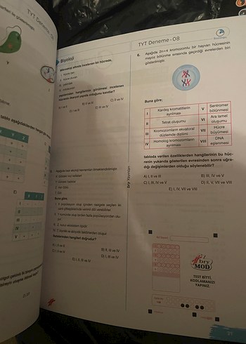 TYT Biyoloji Denemeleri - Görsel 2