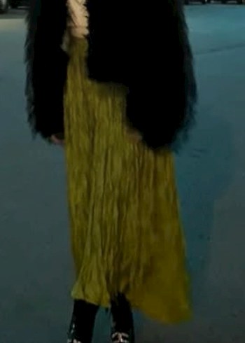 Kadın Yeşil Uzun Pilili Keten Etek - Görsel 4