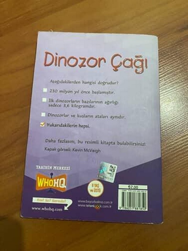 Dinozor Çağı - Çocuk Kitabı - Görsel 2