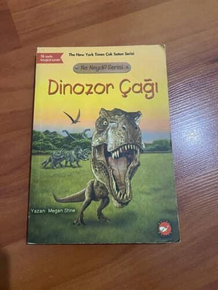 Dinozor Çağı - Çocuk Kitabı - Görsel 3