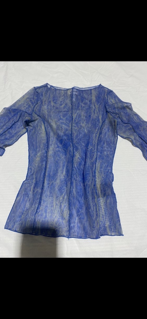 Transparan Uzun Kollu Kadın Bluz - Görsel 5