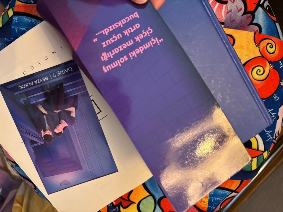 Beyza Alkoç - No. 26 ve Daire 7 Romanları - Görsel 3