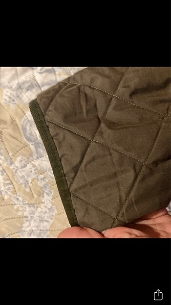 l Beden Barbour mont