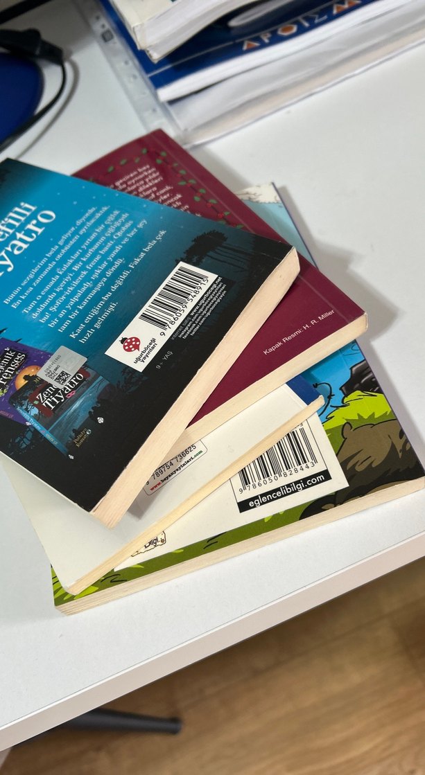 Çocuk Kitapları Seti: Küçük Prens ve Daha Fazlası - Görsel 3