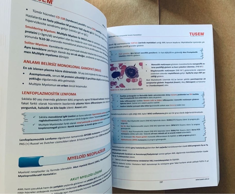 TUSEM Patoloji Kitabı - Tıp Uzmanlık Sınavı - Görsel 3