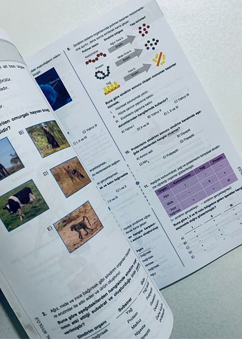 10. Sınıf Biyoloji Soru Bankası - Görsel 6