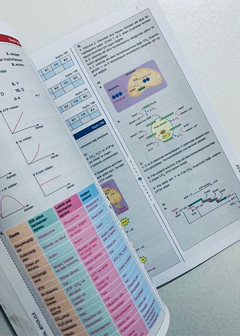 10. Sınıf Biyoloji Soru Bankası - Görsel 2