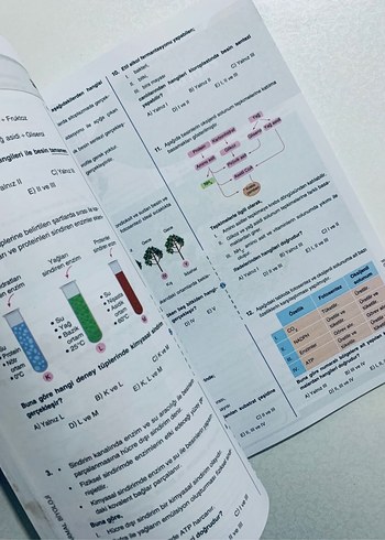 10. Sınıf Biyoloji Soru Bankası - Görsel 4