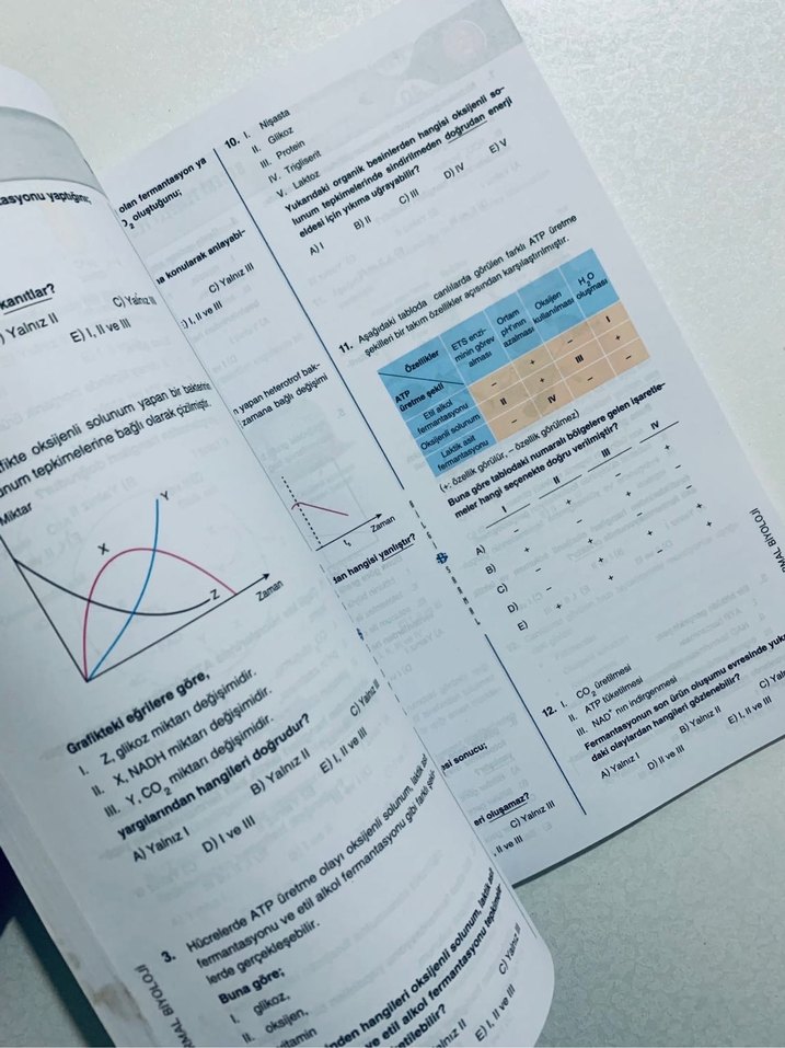 10. Sınıf Biyoloji Soru Bankası - Görsel 5