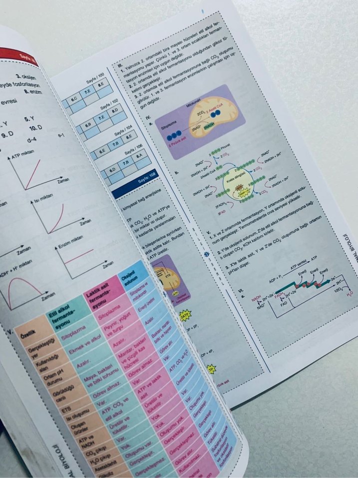 10. Sınıf Biyoloji Soru Bankası - Görsel 2