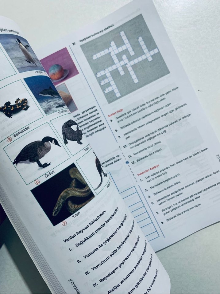9. Sınıf Biyoloji Soru Bankası - Görsel 5