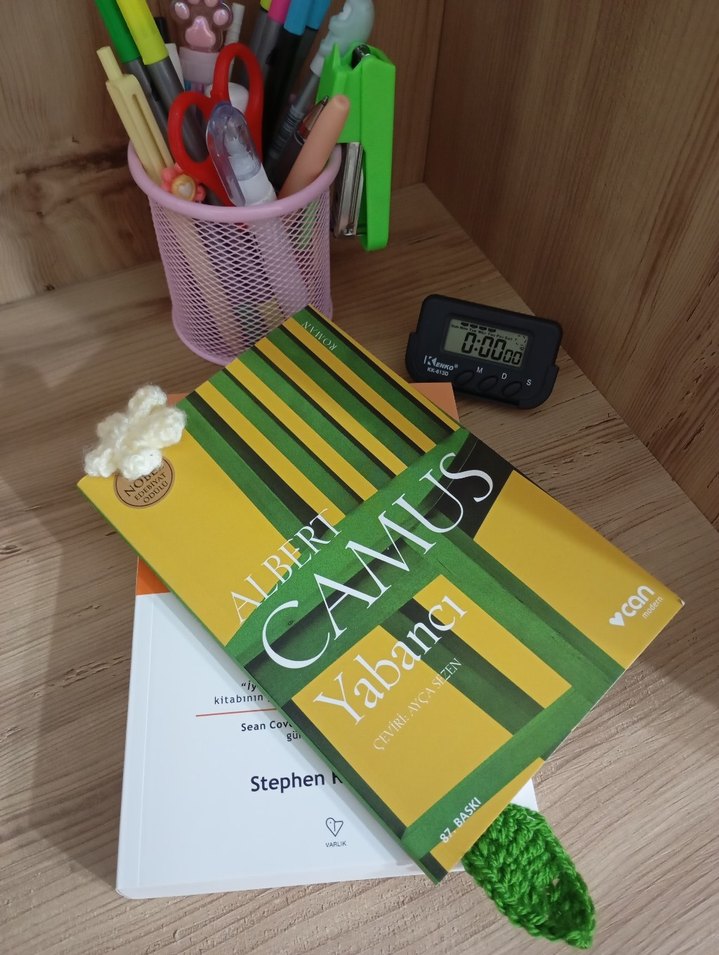 Papatyalı ayraç. - Görsel 3