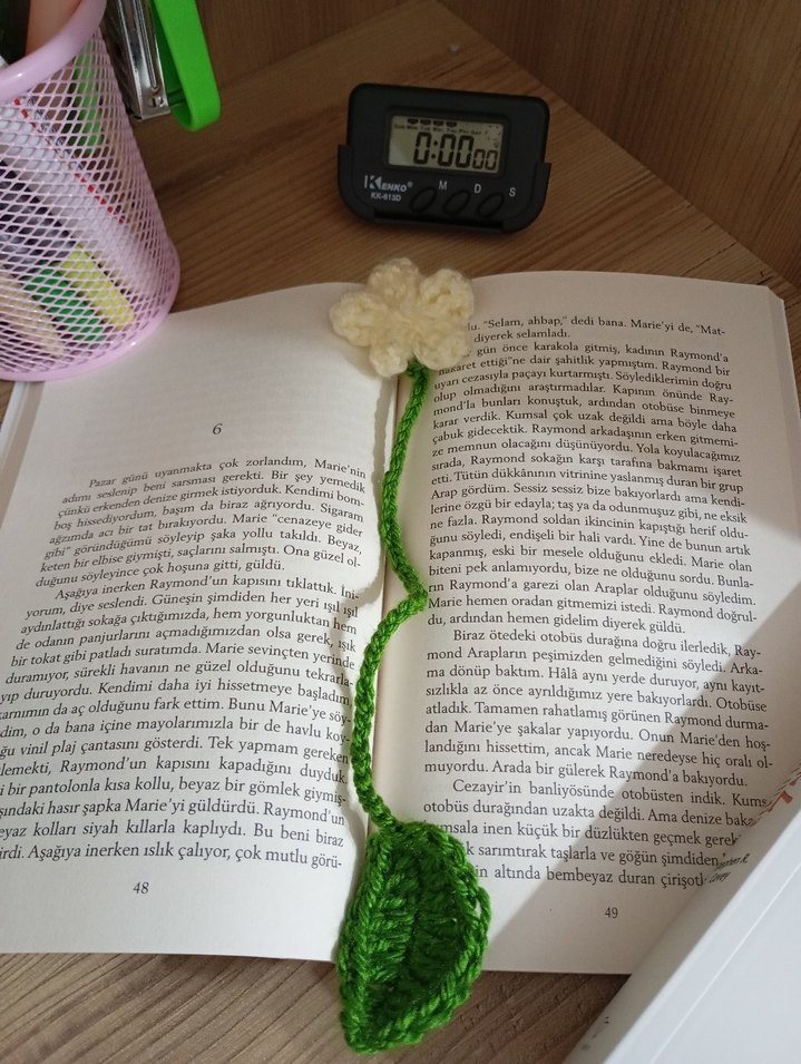 Papatyalı ayraç. - Görsel 2