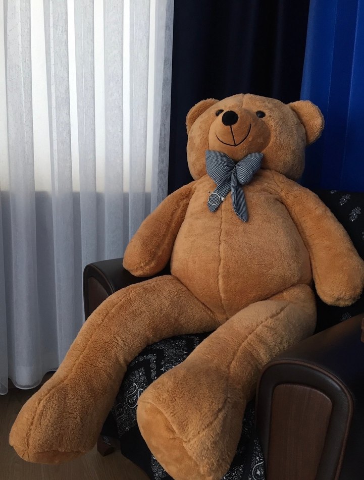 Açık Kahverengi Peluş Ayı Oyuncak - Görsel 2