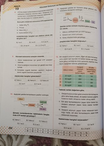 Beden Renk AYT Biyoloji Soru Bankası Biyotik Yayınları