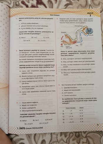 AYT Biyoloji Soru Bankası Biyotik Yayınları