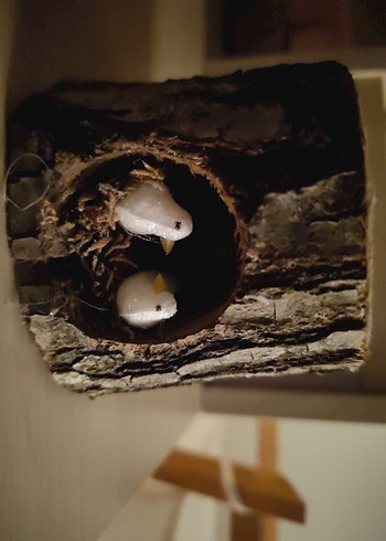 Ahşap Kütük İçinde Kuş Figürlü Mumluk ve Mum - Görsel 2