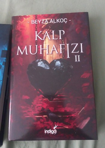 Kalp Muhafızı II - Beyza Alkoç