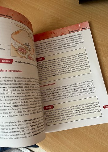  Beden Renk Temel Fizyoloji - Halis Köylü 3. Baskı