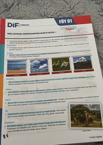 Beden 11. Sınıf Coğrafya DIF Ders İşleme Föyleri