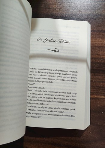 Erik Ağacı - Ellen Marie Wiseman - Görsel 2