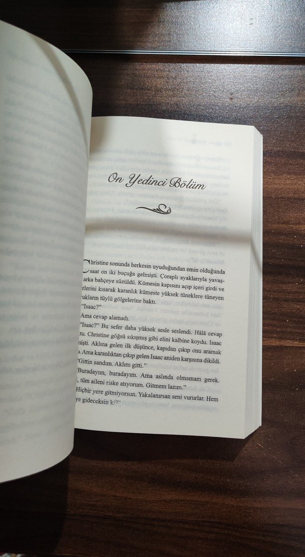 Erik Ağacı - Ellen Marie Wiseman - Görsel 2