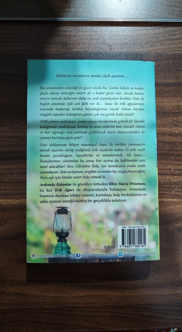 Erik Ağacı - Ellen Marie Wiseman - Görsel 3