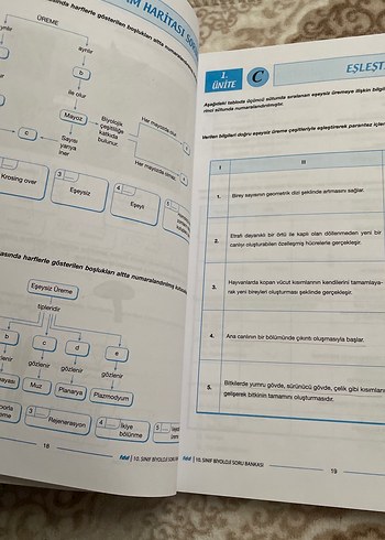 10. Sınıf Biyoloji Soru Bankası Yeni Baskı