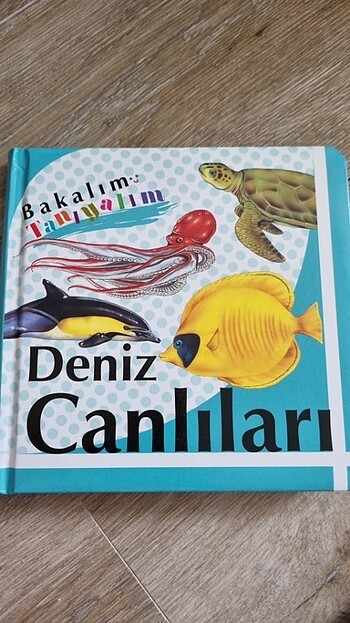 Deniz Canlıları