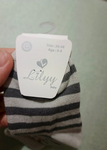 gri Çizgili Erkek Çorabı, Nakışlı Ayıcık Desenli - Görsel 2