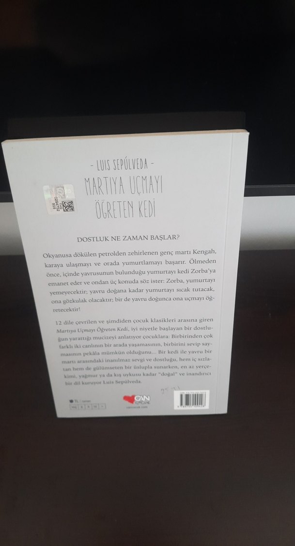 Martıya Uçmayı Öğreten Kedi - Luis Sepúlveda - Görsel 2