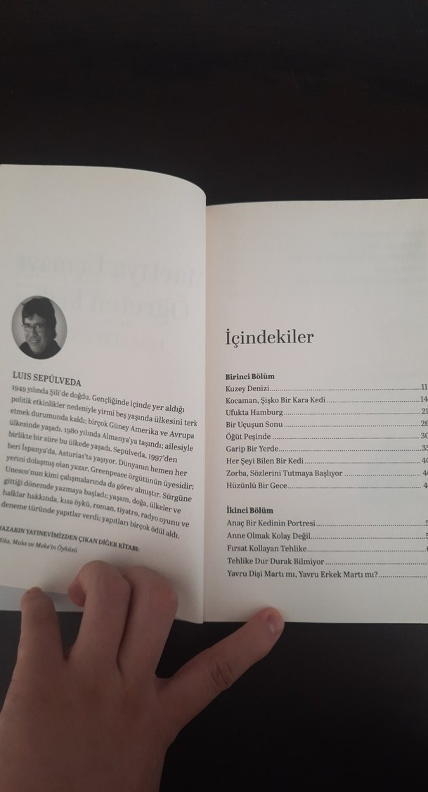 Martıya Uçmayı Öğreten Kedi - Luis Sepúlveda - Görsel 3