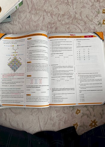 Yeni Başlayanlar için Adım Adım Biyoloji Soru Kitabı