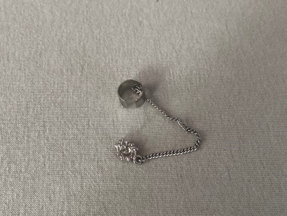 Zincir Detaylı Kırmızı Uğur Böceği Charm - Görsel 2