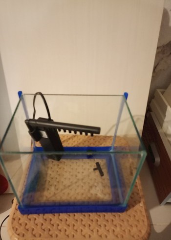 Mavi Cam Pet Akvaryumu