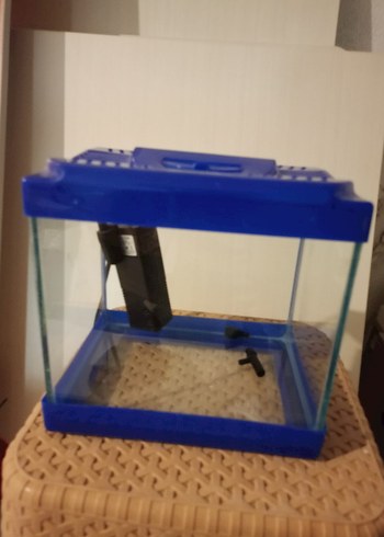 Mavi Cam Pet Akvaryumu