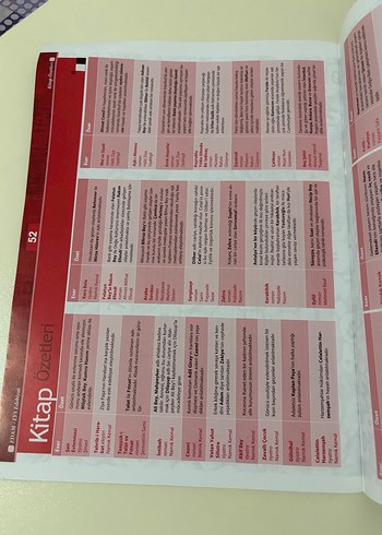 LYS Edebiyat Özet Anlatım Kitabı - Görsel 2