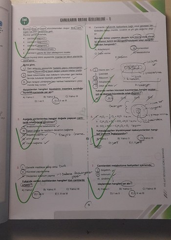 Bilgi Sarmal TYT-AYT Biyoloji Soru Bankası - Görsel 2
