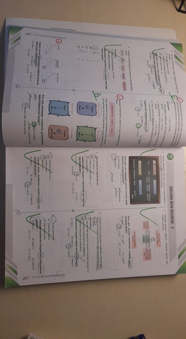Bilgi Sarmal TYT-AYT Biyoloji Soru Bankası - Görsel 3