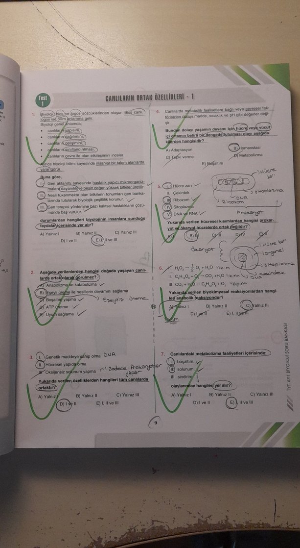 Bilgi Sarmal TYT-AYT Biyoloji Soru Bankası - Görsel 2