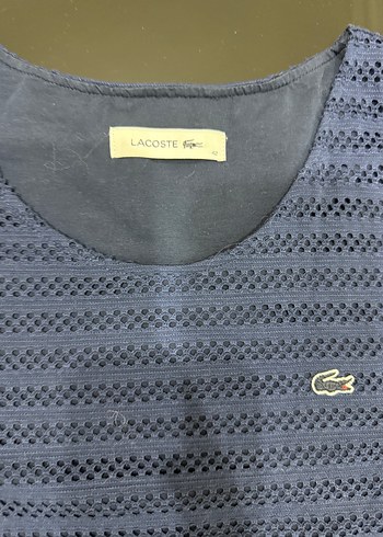 Lacoste l