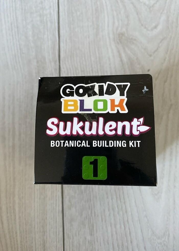 Sukulent lego blokları - Görsel 2