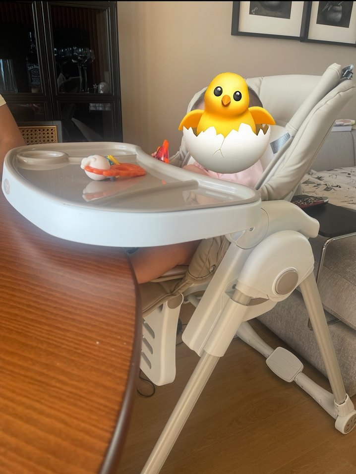 Prego Lucca Asansörlü Çift Tepsili Mama Sandalyesi - Görsel 3